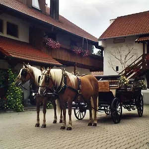 https://appartementhaus-haflinger-hof.com-bavaria.com